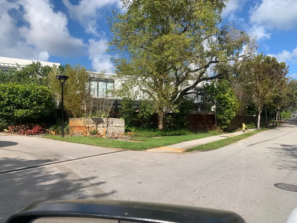 Street-side entrance planting and mature tree before the landscape update, with lightly enhanced colors