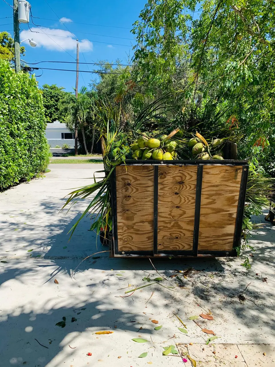 Trailer loaded with palm fronds, coconuts, and landscape debris for removal